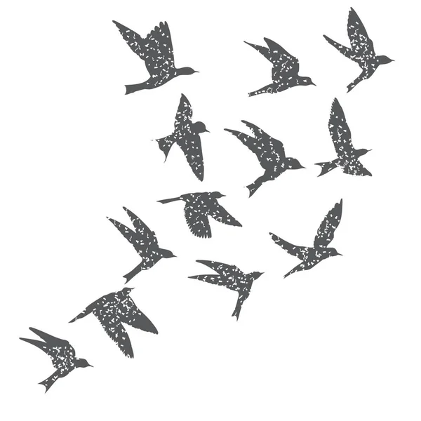 Silueta de pájaros voladores de la ciudad sobre fondo blanco. Inspiración — Vector de stock