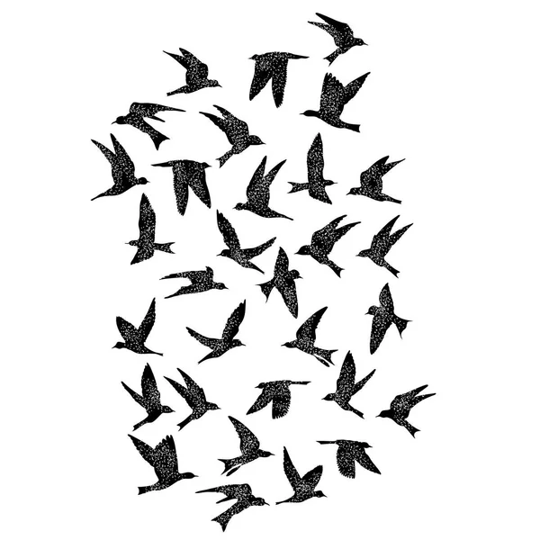 Terisolasi stipple siluet burung kawanan di udara I - Stok Vektor