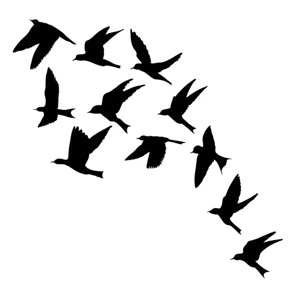 Siluet burung terbang dengan latar belakang putih. bo inspirasional - Stok Vektor