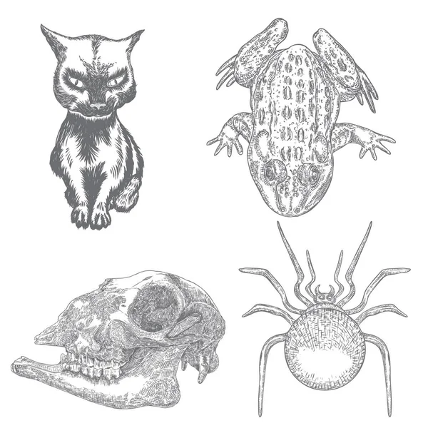 Set di design di elementi animali magici. Schizzo disegnato a mano per mago — Vettoriale Stock