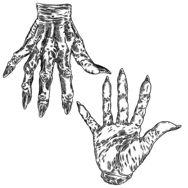 Halloween-Gravur Zeichnungen Satz von Monsterhänden, Werwolf, wi — Stockvektor