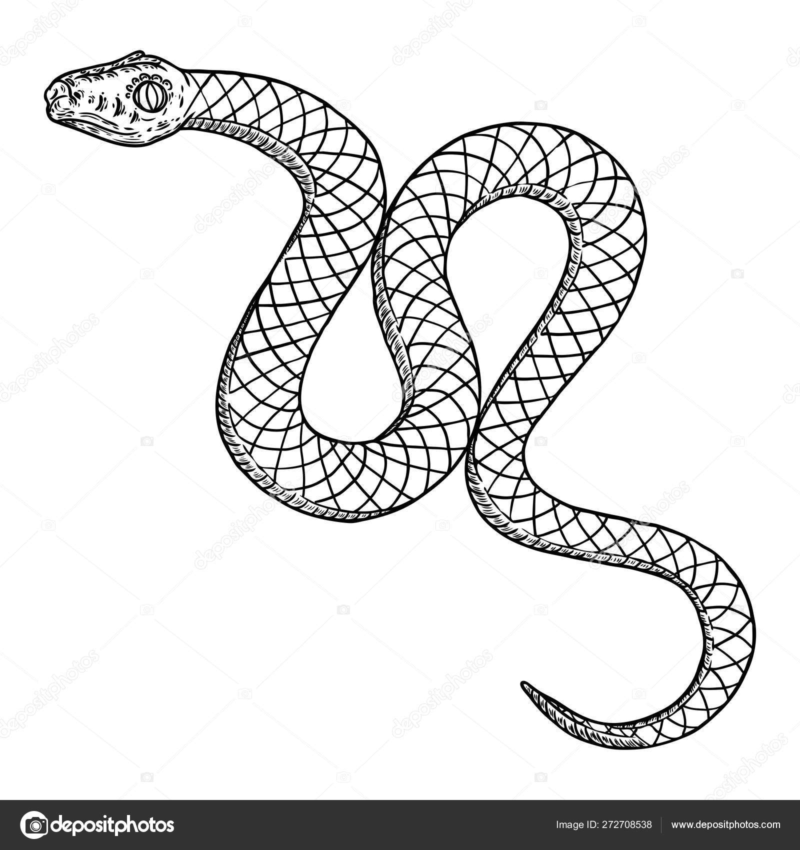 Cobra Da Serpente 3D Isolada Em Um Branco Ilustração Stock