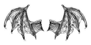 El çizilmiş Vintage kazınmış gravür düşmüş melek veya vampir detay