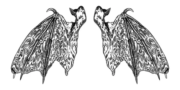 手描きビンテージ彫刻木版天使や吸血鬼ディテール — ストックベクタ