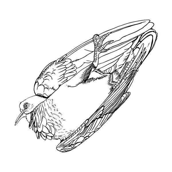 Pássaro morto desenhado à mão. Gravado gravado. Desenho estilizado de deco —  Vetores de Stock