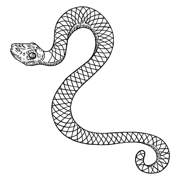 Illustrazione disegno serpente. Serpente nero isolato su una ba bianca — Vettoriale Stock