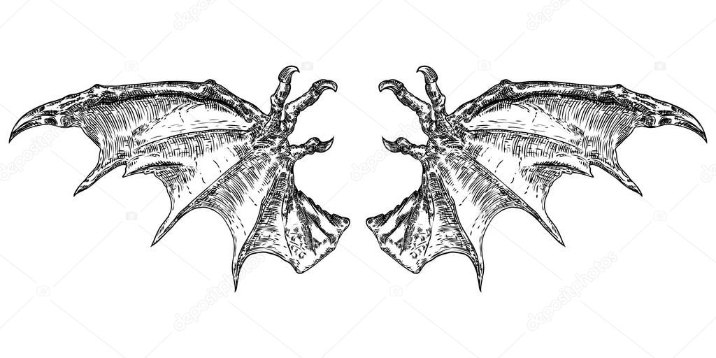 Hand drawn vintage etched woodcut fallen angel or vampire detailed wings. Dragon or gargoyle wings. Heraldic wings for tattoo and mascot design. Isolated sketch collection. Vector.