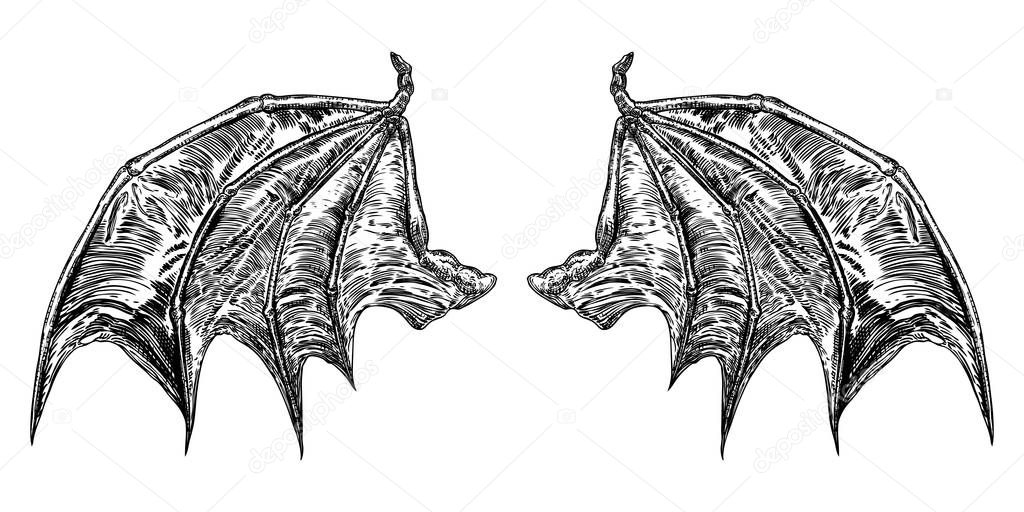 Hand drawn vintage etched woodcut fallen angel or vampire detailed wings. Dragon or gargoyle wings. Heraldic wings for tattoo and mascot design. Isolated sketch collection. Vector.