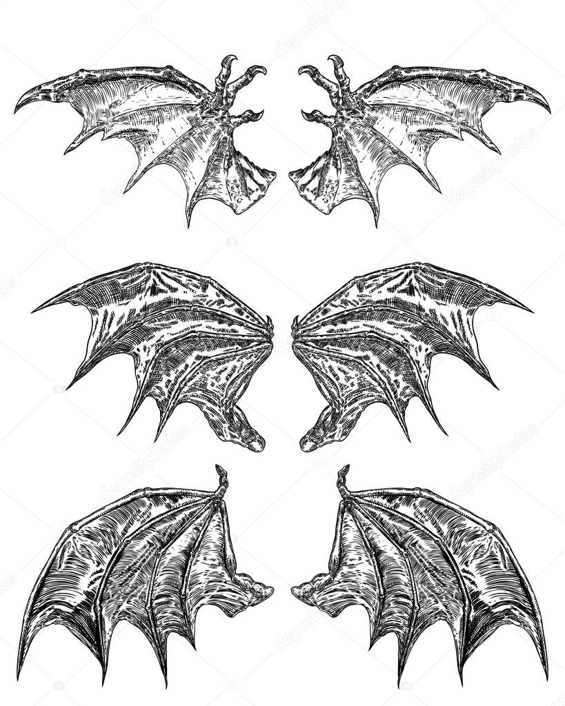 Set of hand drawn vintage etched woodcut fallen angel or vampire detailed wings. Dragon or gargoyle wings. Heraldic wings for tattoo and mascot design. Isolated sketch collection. Vector.