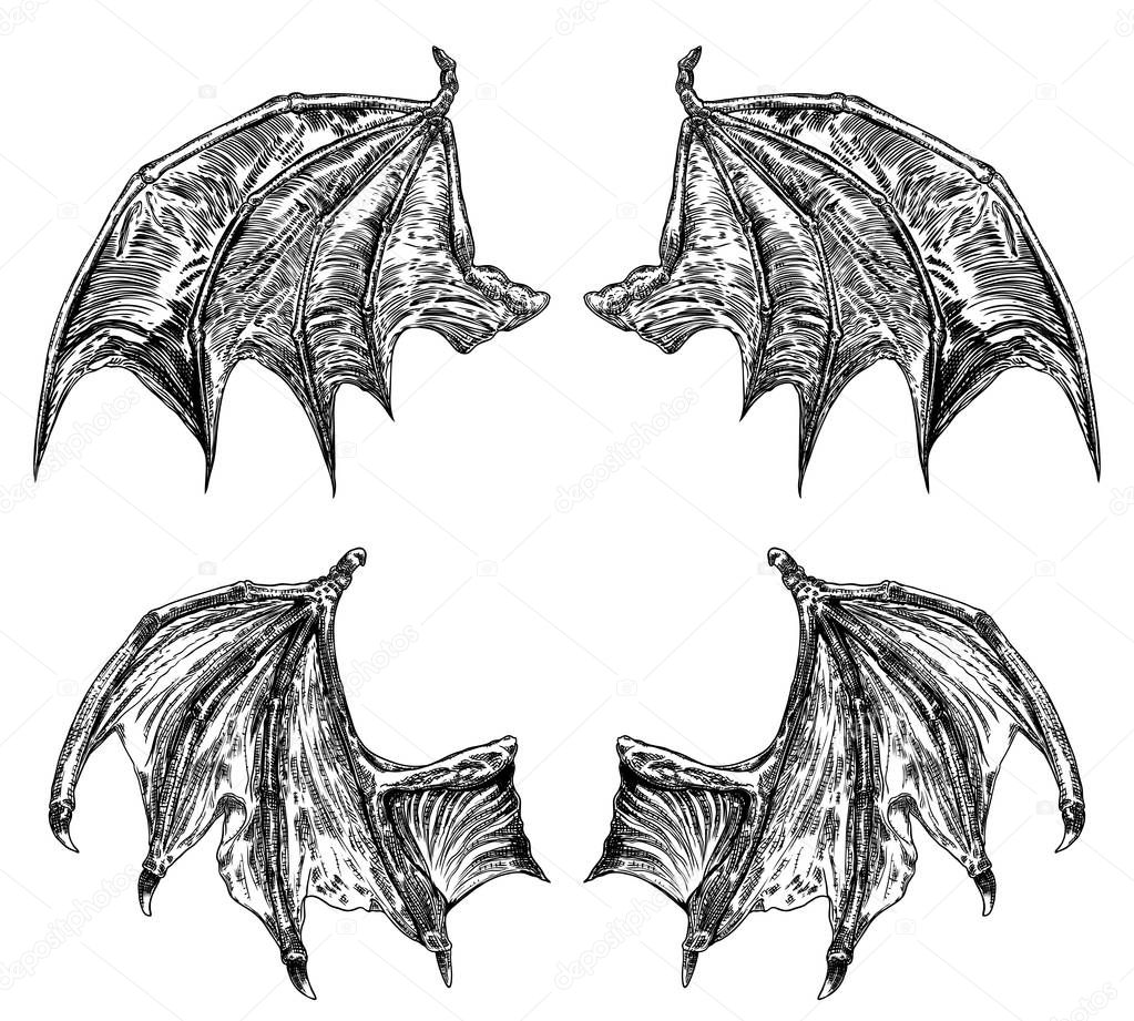 Set of hand drawn vintage etched woodcut fallen angel or vampire detailed wings. Dragon or gargoyle wings. Heraldic wings for tattoo and mascot design. Isolated sketch collection. Vector.