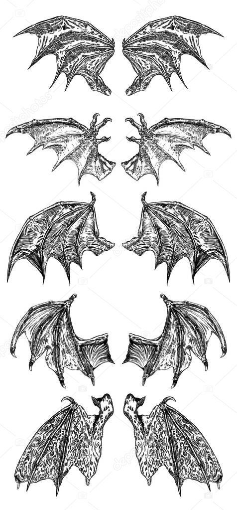 Set of hand drawn vintage etched woodcut fallen angel or vampire detailed wings. Dragon or gargoyle wings. Heraldic wings for tattoo and mascot design. Isolated sketch collection. Vector.