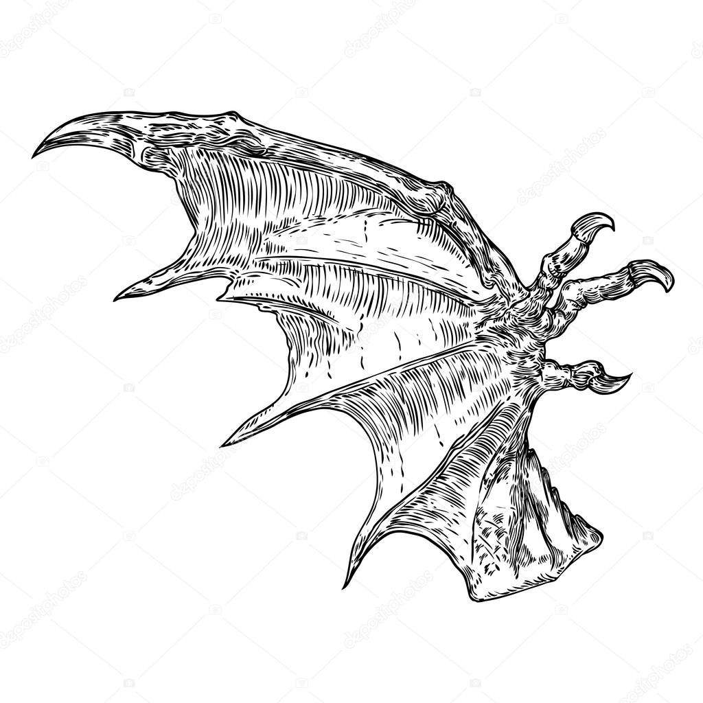 Hand drawn vintage etched woodcut fallen angel or vampire detailed wings. Dragon or gargoyle wings. Heraldic wings for tattoo and mascot design. Isolated sketch collection. Vector.
