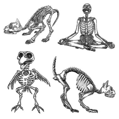 Cadılık sihirli seti, okült özellikleri dekoratif unsurlar. 