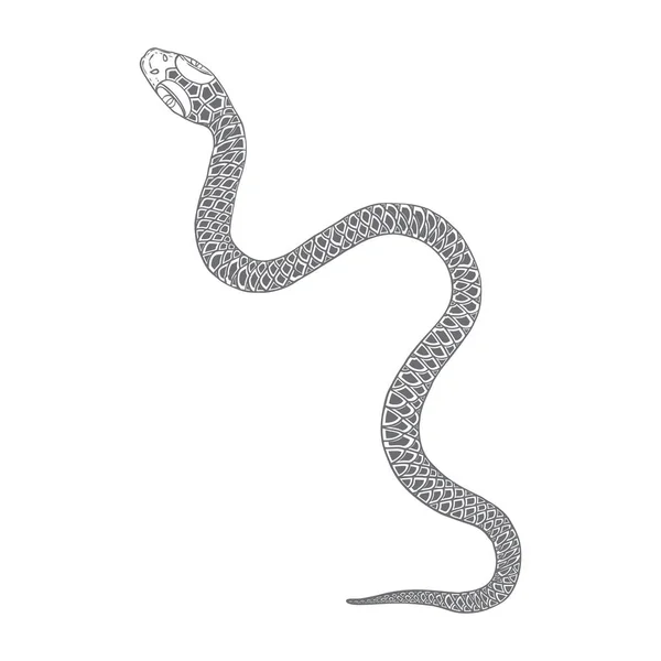 Ilustración de dibujo de serpiente. Serpiente negra aislada en una ba blanca — Vector de stock