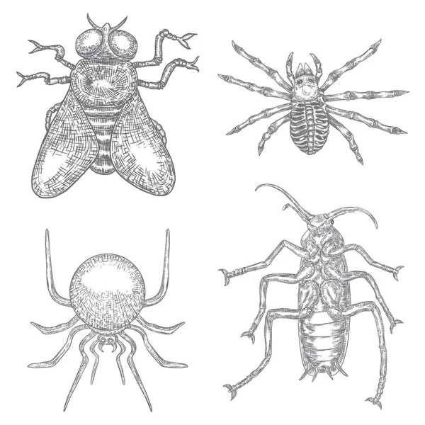 Elementos de símbolo de alquimia establecidos. Insectos, moscas, arañas, cucarachas. S — Vector de stock
