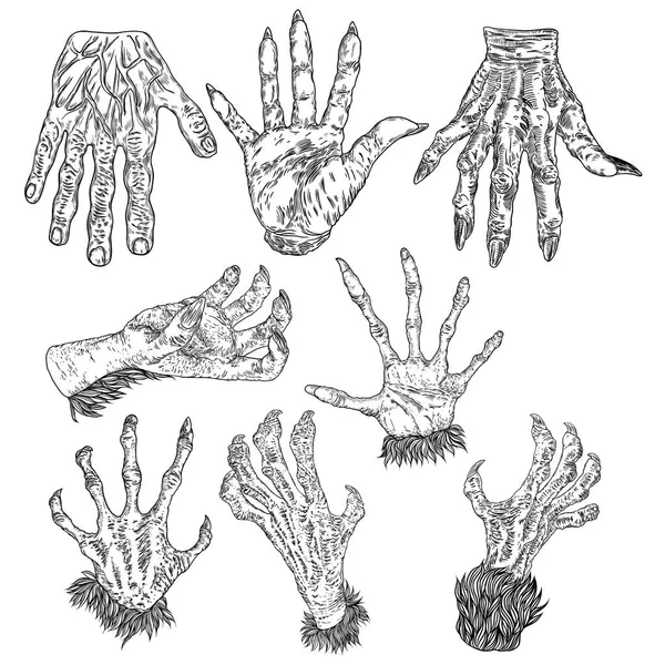 Halloween gravírozás rajzok sor szörnyek kezét, vérfarkas, wi — Stock Vector