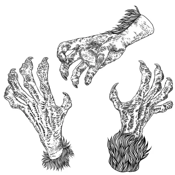 Halloween engraving drawings set of monsters hands, werewolf, wi — Stock Vector