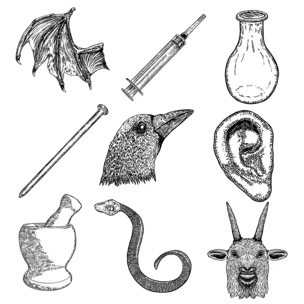 Elementos mágicos aleatorios establecidos. Dibujo a mano para la colección de mago . — Archivo Imágenes Vectoriales
