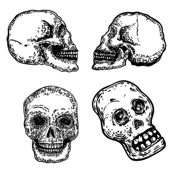 Set of decorative human skulls in different directions, hand dra — Stock Vector