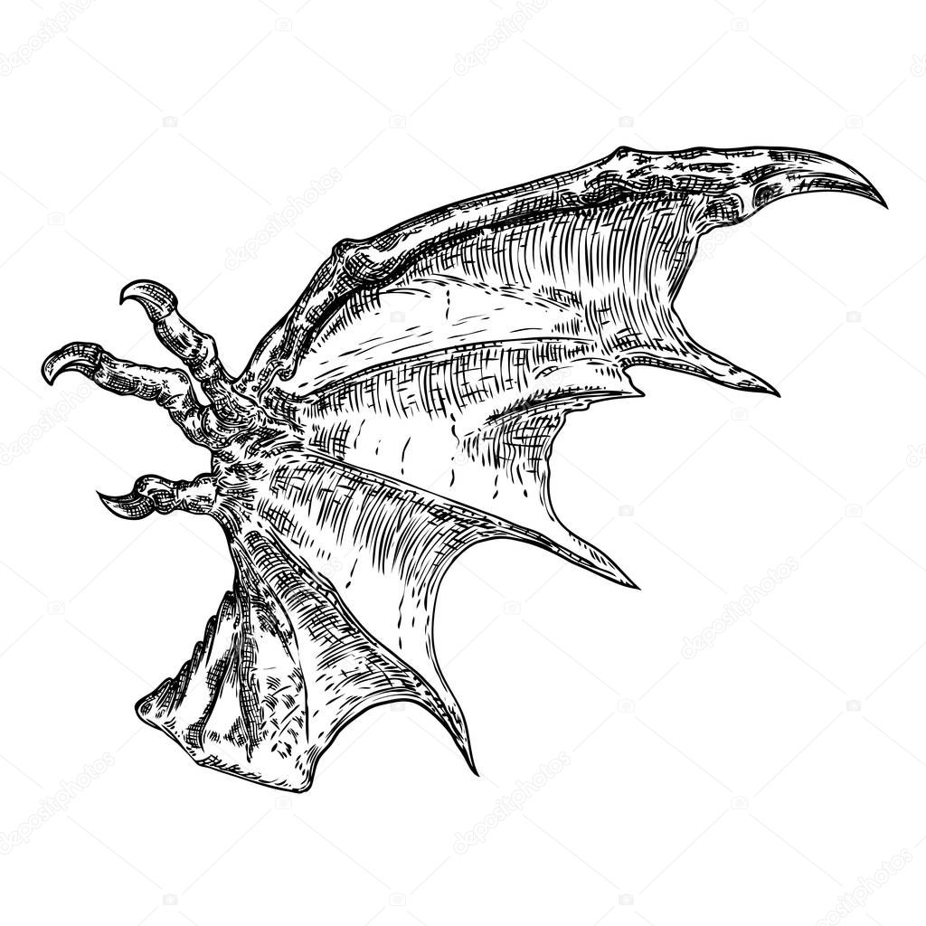 Hand drawn vintage etched woodcut fallen angel or vampire detailed wings. Dragon or gargoyle wings. Heraldic wings for tattoo and mascot design. Isolated sketch collection. Vector.