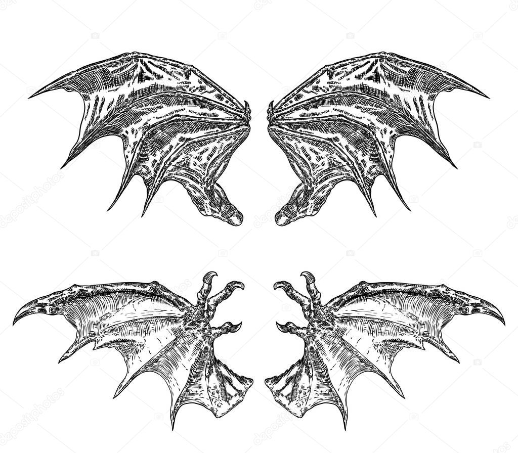 Set of hand drawn vintage etched woodcut fallen angel or vampire detailed wings. Dragon or gargoyle wings. Heraldic wings for tattoo and mascot design. Isolated sketch collection. Vector.