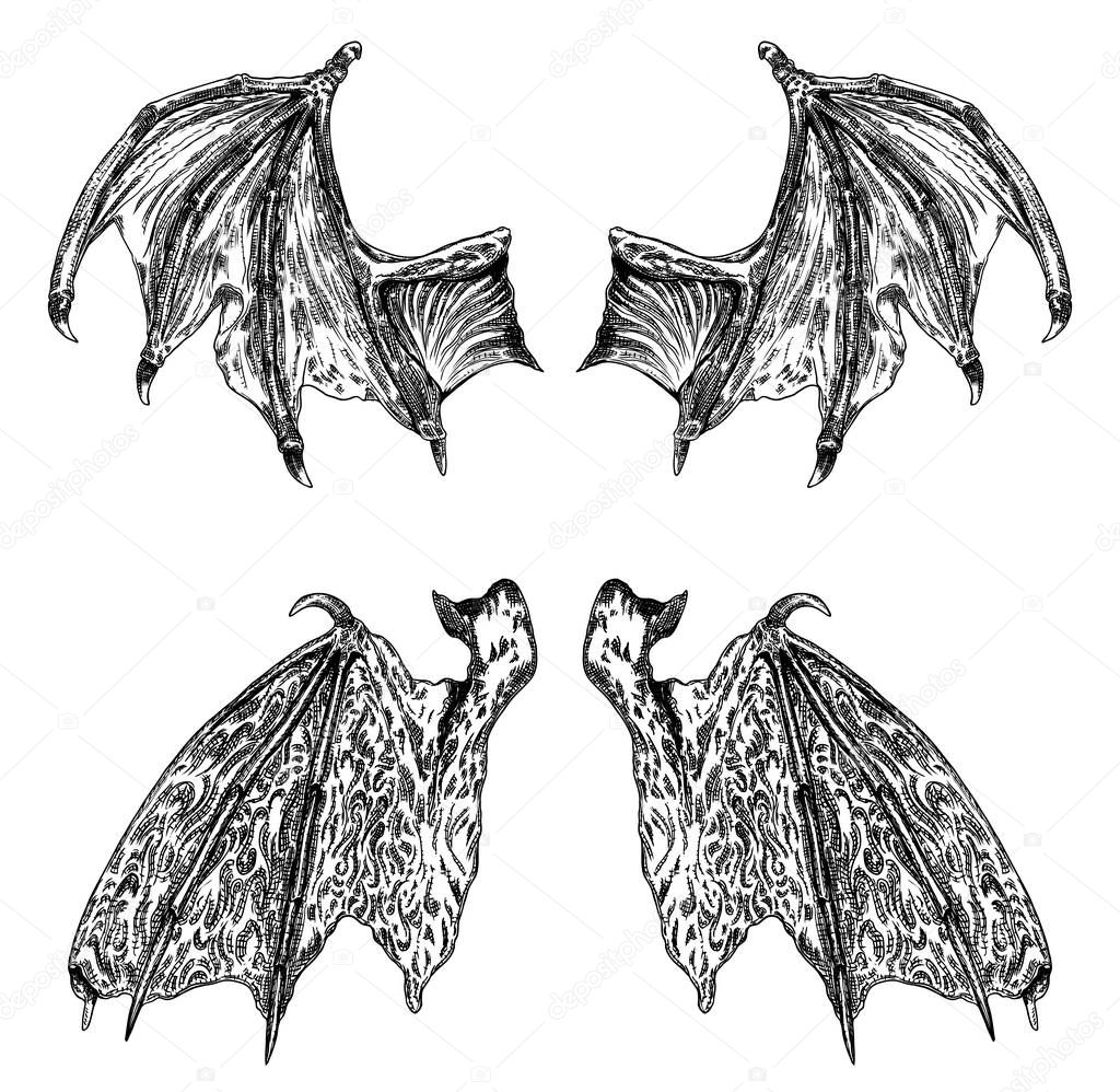 Set of hand drawn vintage etched woodcut fallen angel or vampire detailed wings. Dragon or gargoyle wings. Heraldic wings for tattoo and mascot design. Isolated sketch collection. Vector.