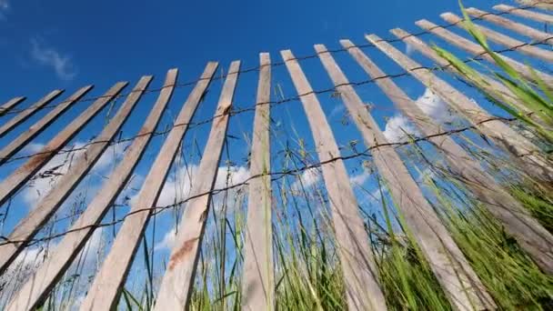 农场牧场的草，用旧木头和铁丝制成的破篱笆。绿色自然田村乡村乡村在阳光明媚的夏日风和蓝天多云的天气中乡村风情。缓慢电动多利拍摄运动从下面，4k. — 图库视频影像