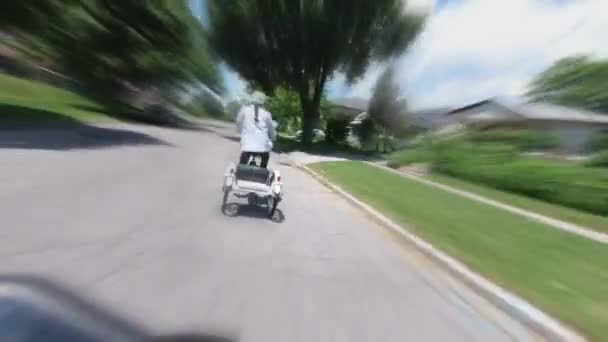 Junge Frauen auf dem Fahrrad oder Trike, Blick von hinten und folgen pov. Zeitraffer oder Hyperlapse mit Bewegungsunschärfe. Fahrrad-Aktivität in Toronto, Ontario, Kanada, Stadtpark. 4k. — Stockvideo