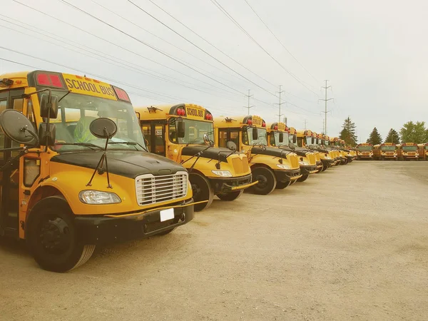 The parking full of school buses waiting for educational season.