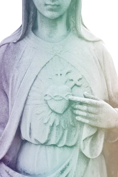 Cœur de Vierge Marie. Coeur immaculé de Sainte Marie Notre Dame. B — Photo