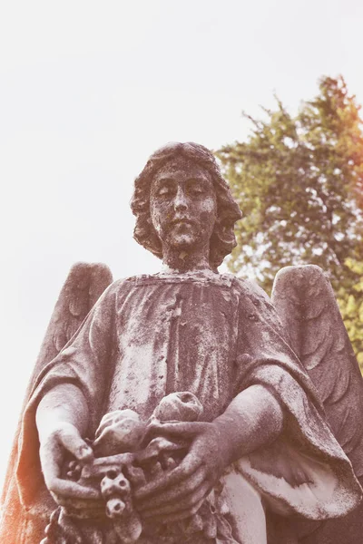 Вінтажний сумний ангел на кладовищі проти дерев і листя спини — стокове фото