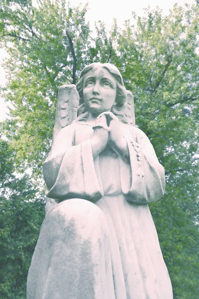 Krásná tvář anděla zblízka. Kamenná socha s laskavý výraz — Stock fotografie