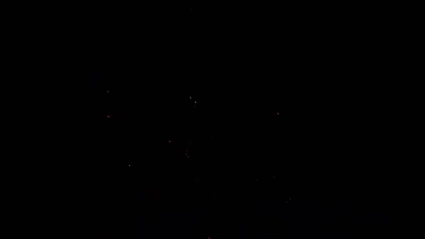 Beaux feux d'artifice éblouissants rayonnent l'horizon nocturne d'été. 4k .