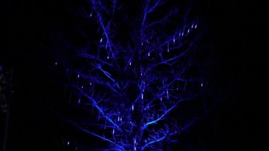 Güzel kış Noel süslemeleri çelenk ve neon tatil ışıkları. Toronto Işık festivali, Ontario, Kanada, eğlence parkı, Ontario yer tema parkı. Bir sürü ampul. Yeni Yıl gösterisi.