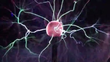 Plazma topu lamba yakın, siyah arka plan üzerinde toptan elektrik ışınları hareket. Elektrik ile Tesla Coil deneyi. Renklerde güzel dinamik soyut ışık arka plan.