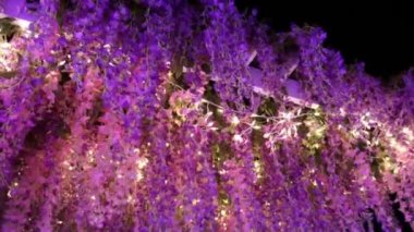 Güzel kış Noel süslemeleri çelenk ve neon tatil ışıkları. Toronto Işık festivali, Ontario, Kanada, eğlence parkı, Ontario yer tema parkı. Bir sürü ampul. Yeni Yıl gösterisi.