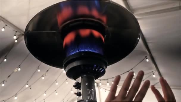 Vista Bola Plasma Com Raios Energia Movimento Interior Sobre Fundo — Vídeo de Stock