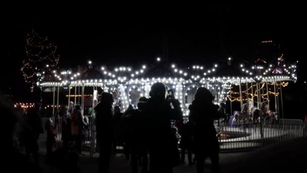 美丽的冬季圣诞装饰花环和霓虹灯节日灯 光节在多伦多 安大略省 加拿大 游乐园 安大略省的地方主题公园 很多灯泡 新年演出 — 图库视频影像