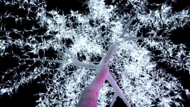 Kerstversiering Boom Garland Gloeit Kleur Lichten Nachts Felle Verlichting Gloeien — Stockvideo