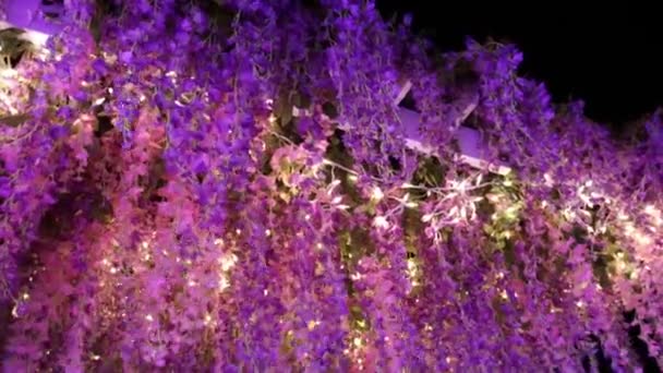 Belles Décorations Noël Hiver Guirlandes Néons Lumières Vacances Festival Lumière — Video