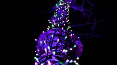 Güzel kış Noel süslemeleri çelenk ve neon tatil ışıkları. Toronto Işık festivali, Ontario, Kanada, eğlence parkı, Ontario yer tema parkı. Bir sürü ampul. Yeni Yıl gösterisi.