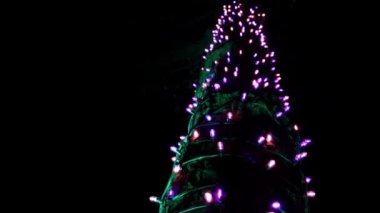 Bir konserde elektro bas gitar çalan erkek gitarist. Müzik aletinin yakın çekim. Gitarist rock festivalinde gitar dizeleri vurur. Yavaş çekim.