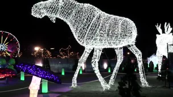 由冬季圣诞装饰花环或霓虹灯制成的驼鹿雕像 光节在多伦多 安大略省 加拿大 游乐园 安大略省的地方主题公园 很多灯泡 — 图库视频影像