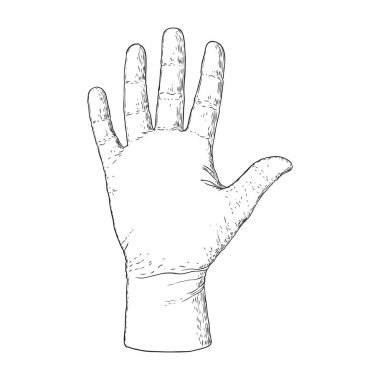 Avuç içi okuma tasarımı için beyaz bir arka plan üzerinde el. Elle çizilmiş. 