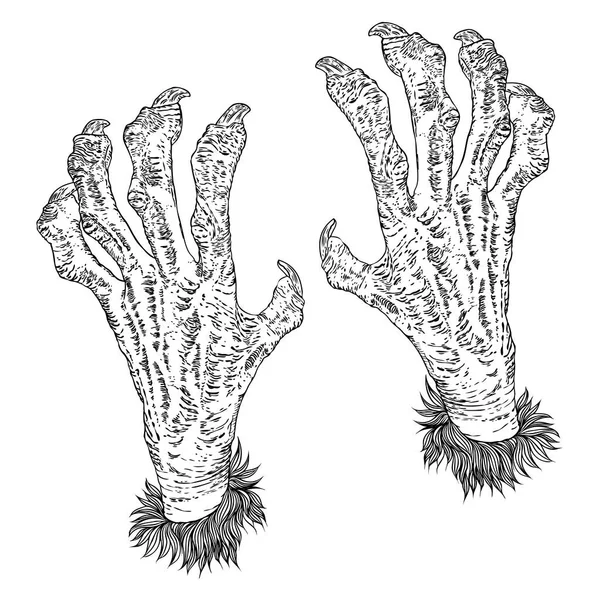 Halloween grabado dibujos conjunto de monstruos manos, hombre lobo, wi — Archivo Imágenes Vectoriales