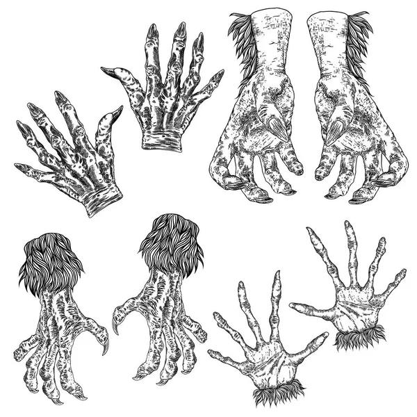 Set de manos monstruo grabado, zombi, hombre lobo, dragón o vampiro — Vector de stock
