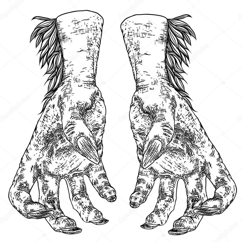 Vettoriale stockHalloween incisione disegni set di mani di mostri, lupo  mannaro, wi di ©goldenshrimp #295088164, image size:1024x1024