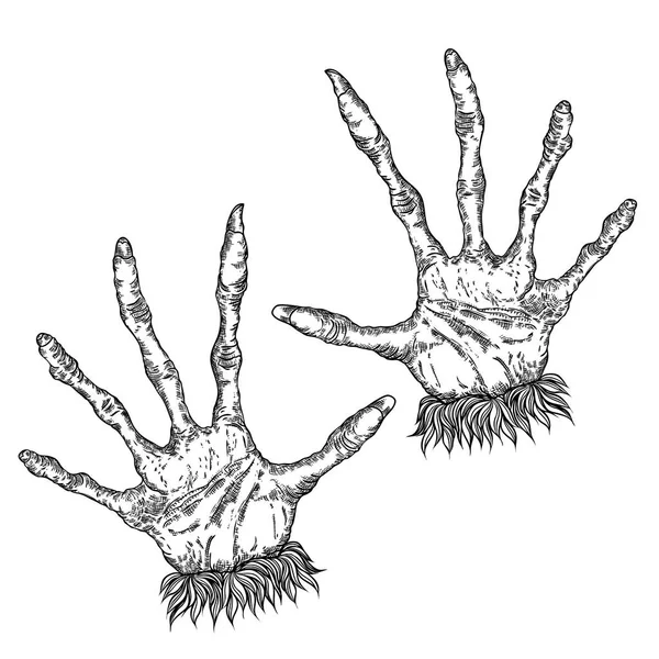 Halloween engraving drawings set of monsters hands, werewolf, wi — Stock Vector