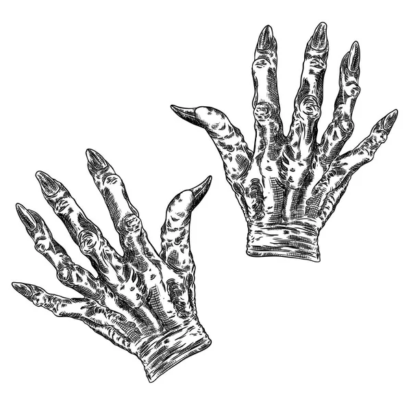 Děsivé zombie monster ruce, ručně kreslené. Izolované na bílém pozadí — Stockový vektor