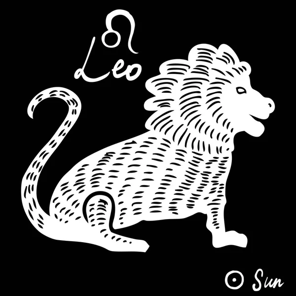 El çizilmiş burç takımyıldızları sembolü ve işareti Aslan, Güneş illust — Stok Vektör
